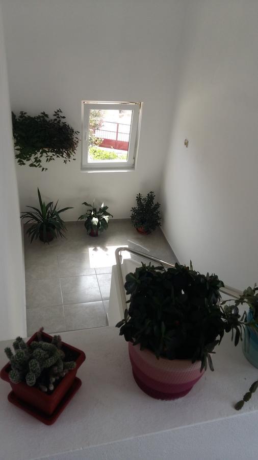 Apartment Hramina Murter Zewnętrze zdjęcie